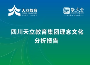 天立教育集团文化理念咨询诊断报告