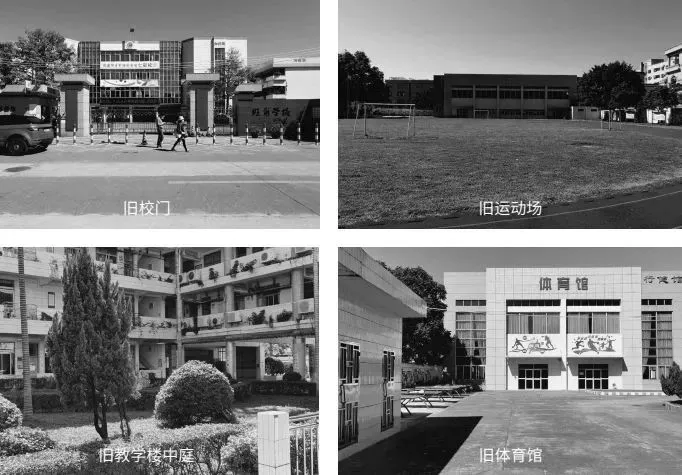 龍江外國語學校附屬小學旺崗小學改造 建筑設(shè)計 / 豎梁社建筑